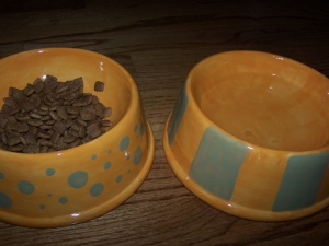 Dog food and water dishes painted